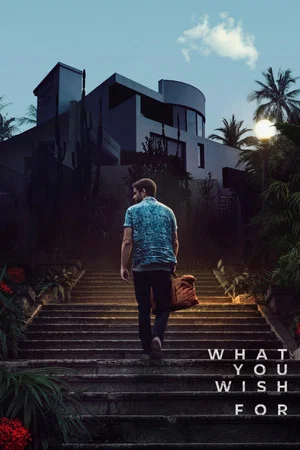 What You Wish For - Vj Nelly